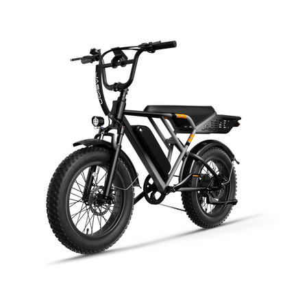 Jasion® RetroVolt E-Bike