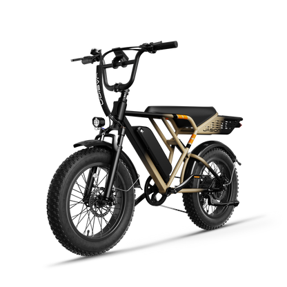 Jasion® RetroVolt E-Bike