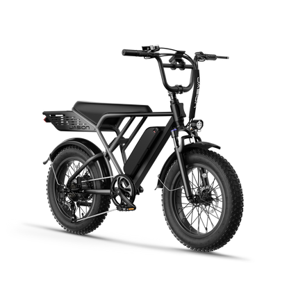 Jasion® RetroVolt E-Bike