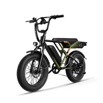Jasion® RetroVolt E-Bike