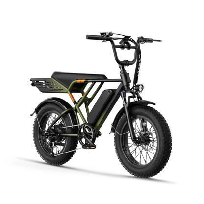 Jasion® RetroVolt E-Bike