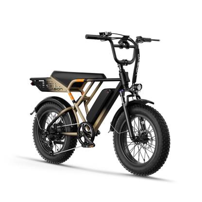 Jasion® RetroVolt E-Bike