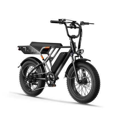 Jasion® RetroVolt E-Bike