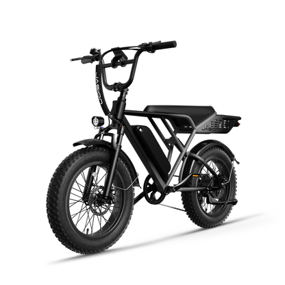 Jasion® RetroVolt E-Bike