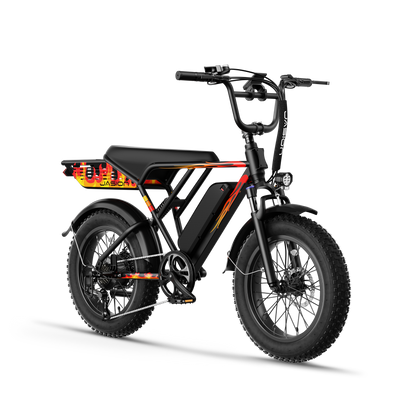 Jasion® RetroVolt E-Bike