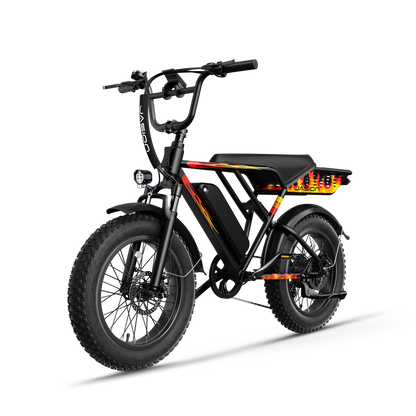 Jasion® RetroVolt E-Bike