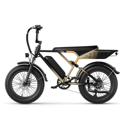 Jasion® RetroVolt E-Bike