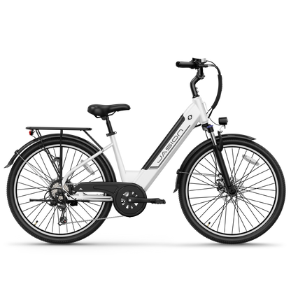Jasion® EB5 Roamer ST E-Bike