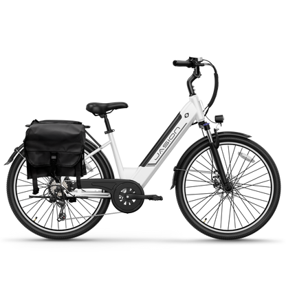 Jasion® EB5 Roamer ST E-Bike