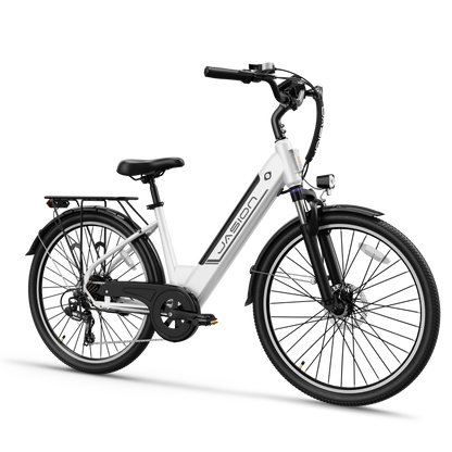 Jasion® EB5 Roamer ST E-Bike